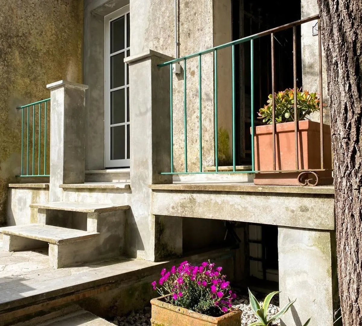 Residenza Nemus Mare E Montagna Apartment Graveglia