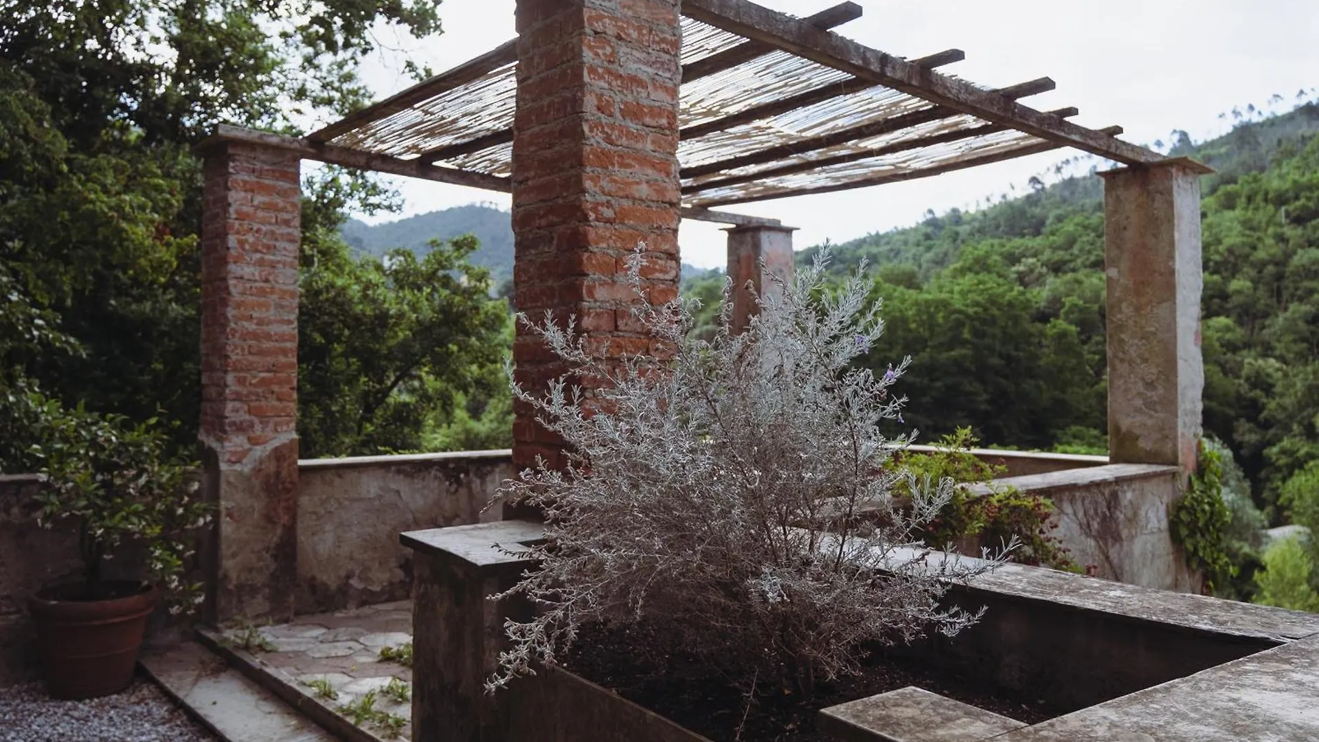 Residenza Nemus Mare E Montagna Apartment Graveglia Italy