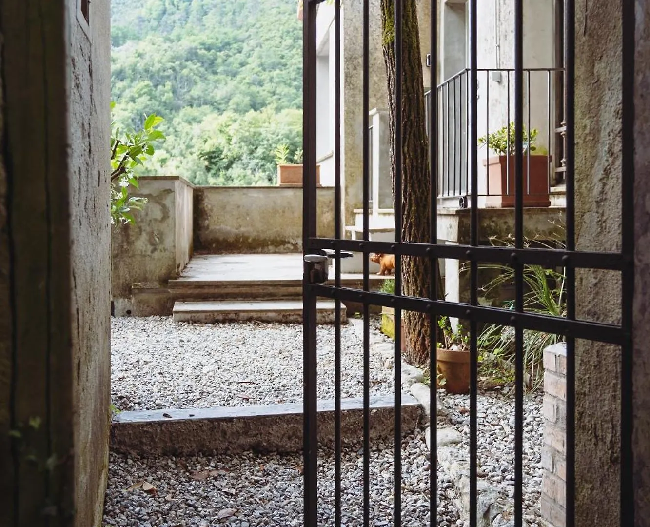 Residenza Nemus Olea Mare E Montagna Apartment Graveglia